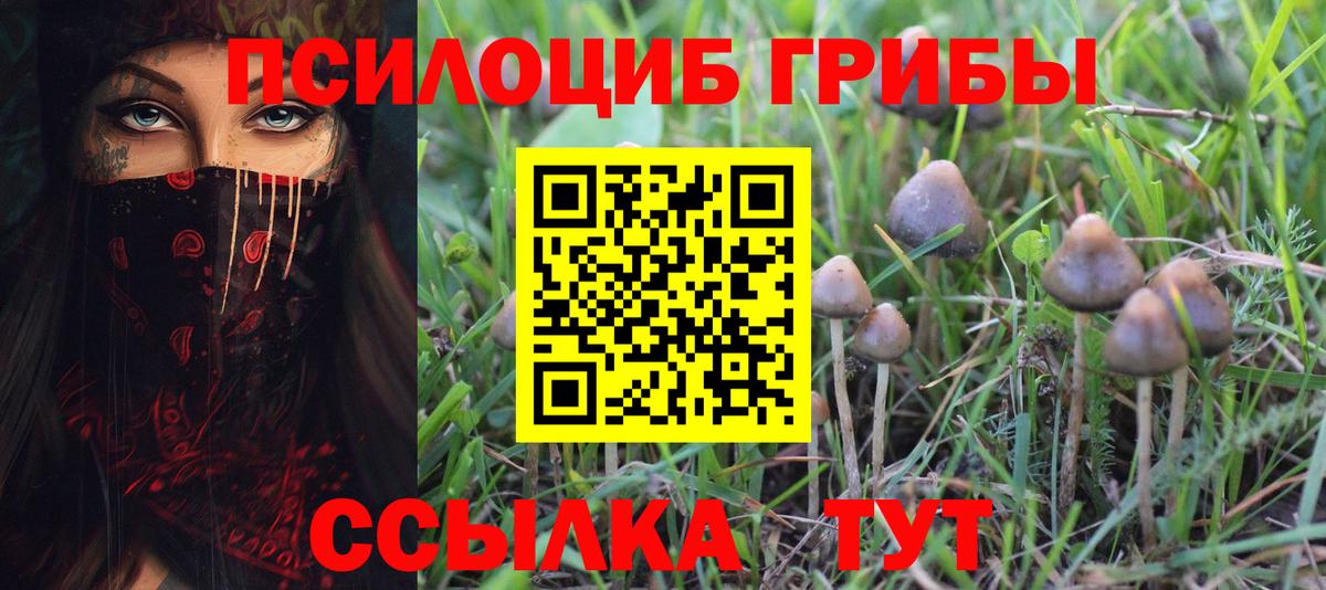Псилоцибиновые грибы Psilocybine cubensis Острогожск