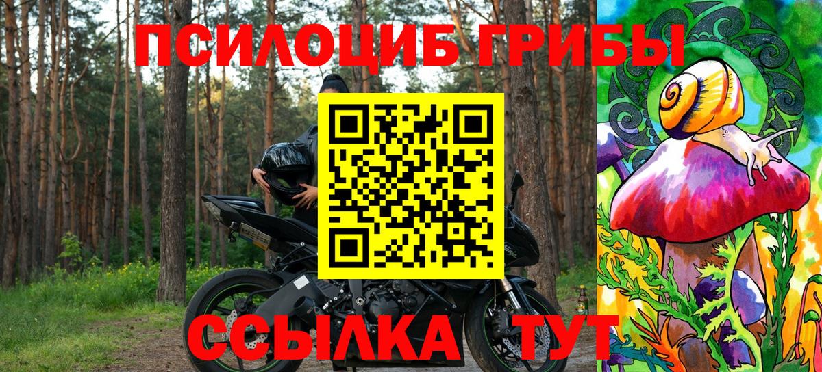 сколько стоит  Галлюциногенные грибы Cubensis  Вход с VPN  Острогожск 